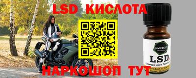 бутират Кингисепп