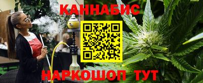 spice Кинель