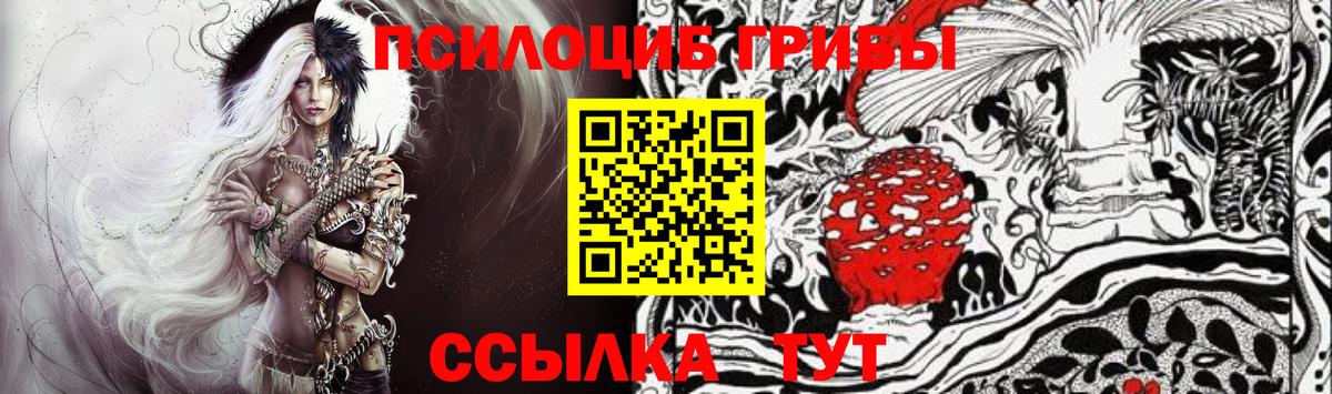 Галлюциногенные грибы Psilocybine cubensis Заречный